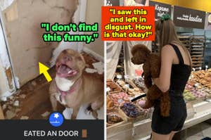 Split image: Left side shows a dog with text "I don't find this funny." pointing to a broken door. Right is a woman holding a dog at a bakery with text "I saw this and left in disgust. How is that okay?"