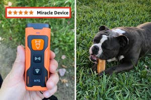 Hand holding a remote control device with a five-star review titled "Miracle device" next to a dog chewing a bone on grass