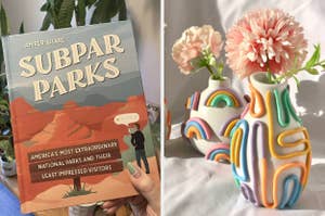 subpar parks book and a rainbow vase