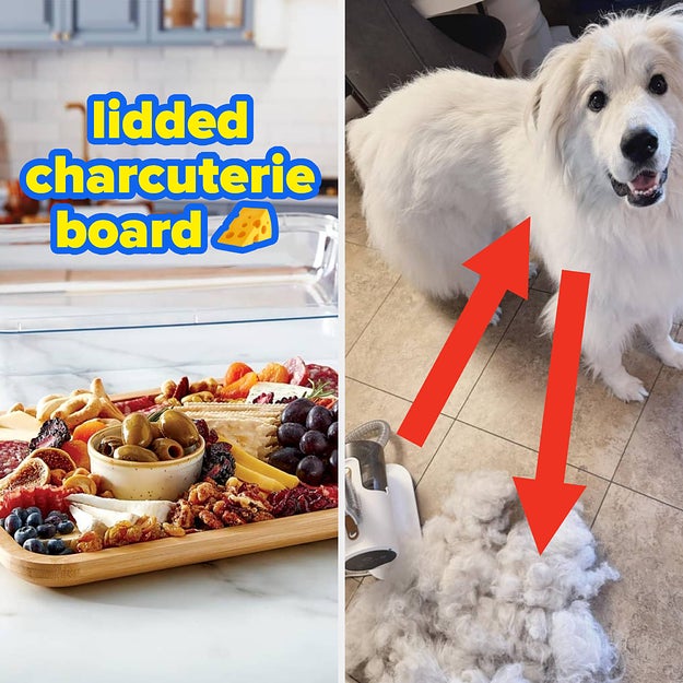 A lidded charcuterie board with assorted snacks; dog beside vacuum with visible large pile of shed fur