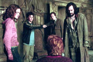 Hermione, Harry, Lupin, and Sirius confront Ron in tattered clothing inside a rustic room