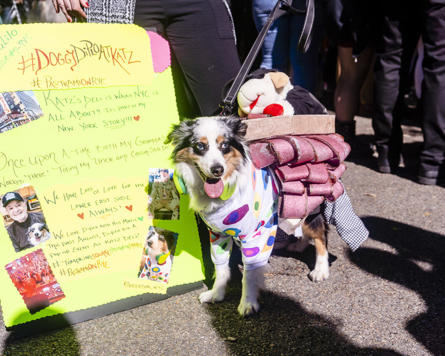 a dog dressed as a sandwich