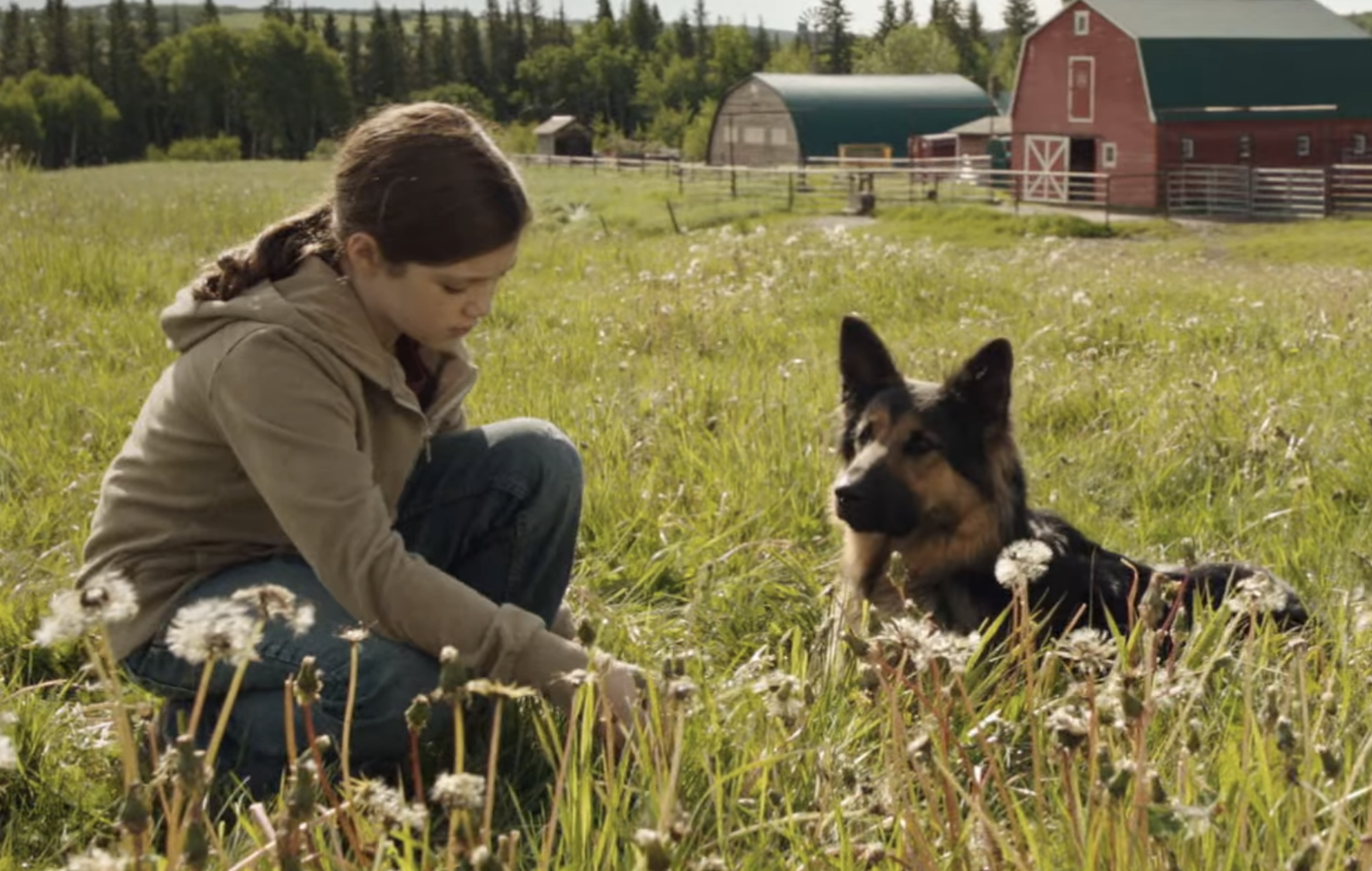 Screenshot from &quot;Heartland&quot;