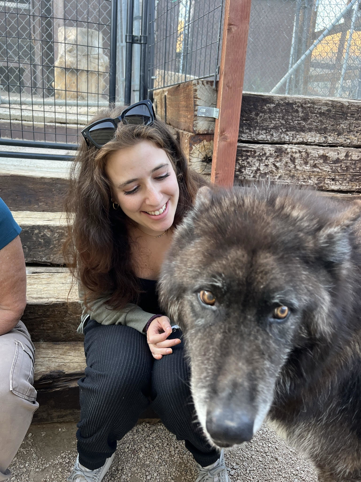 A seated woman petting a wolf