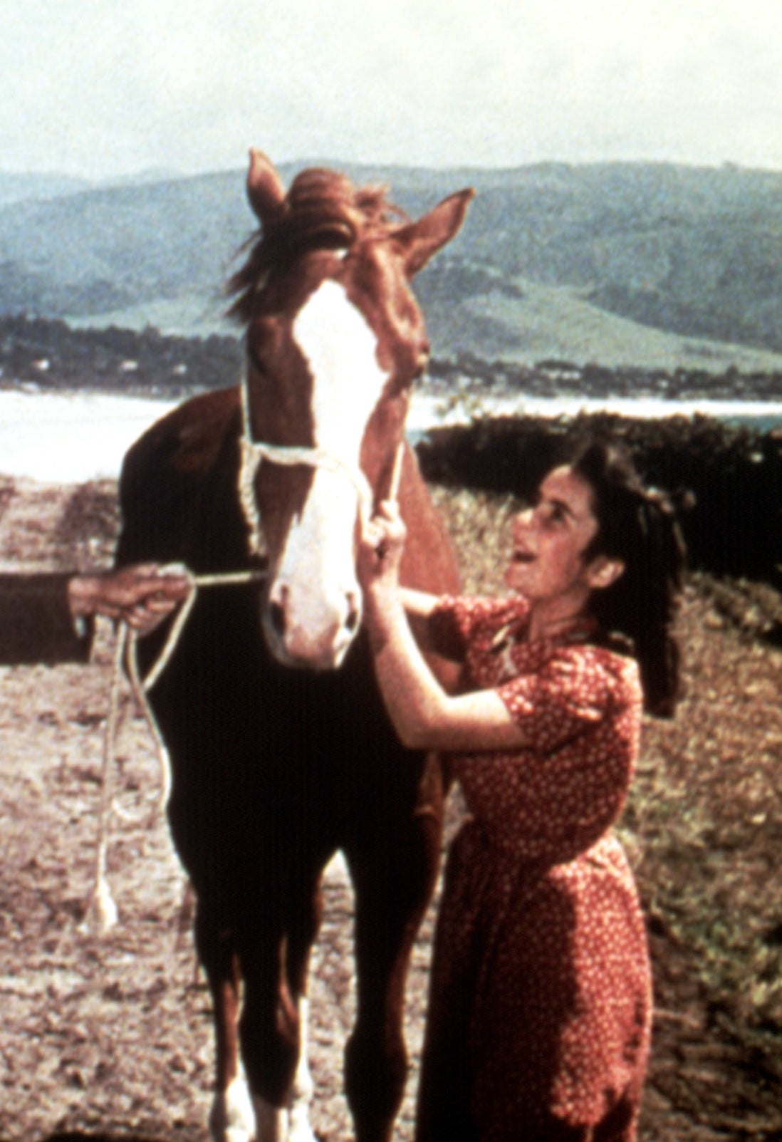 Screenshot from &quot;National Velvet&quot;