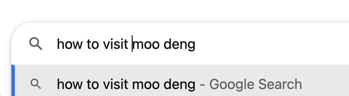 A Google search bar with the suggestion &quot;how to visit moo deng&quot; visible