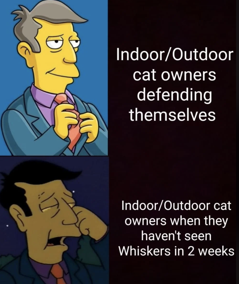 Superintendent Chalmers and Principal Skinner images. First image caption: Indoor/Outdoor cat owners defending themselves. Second image caption: Indoor/Outdoor cat owners when they haven&#x27;t seen Whiskers in 2 weeks