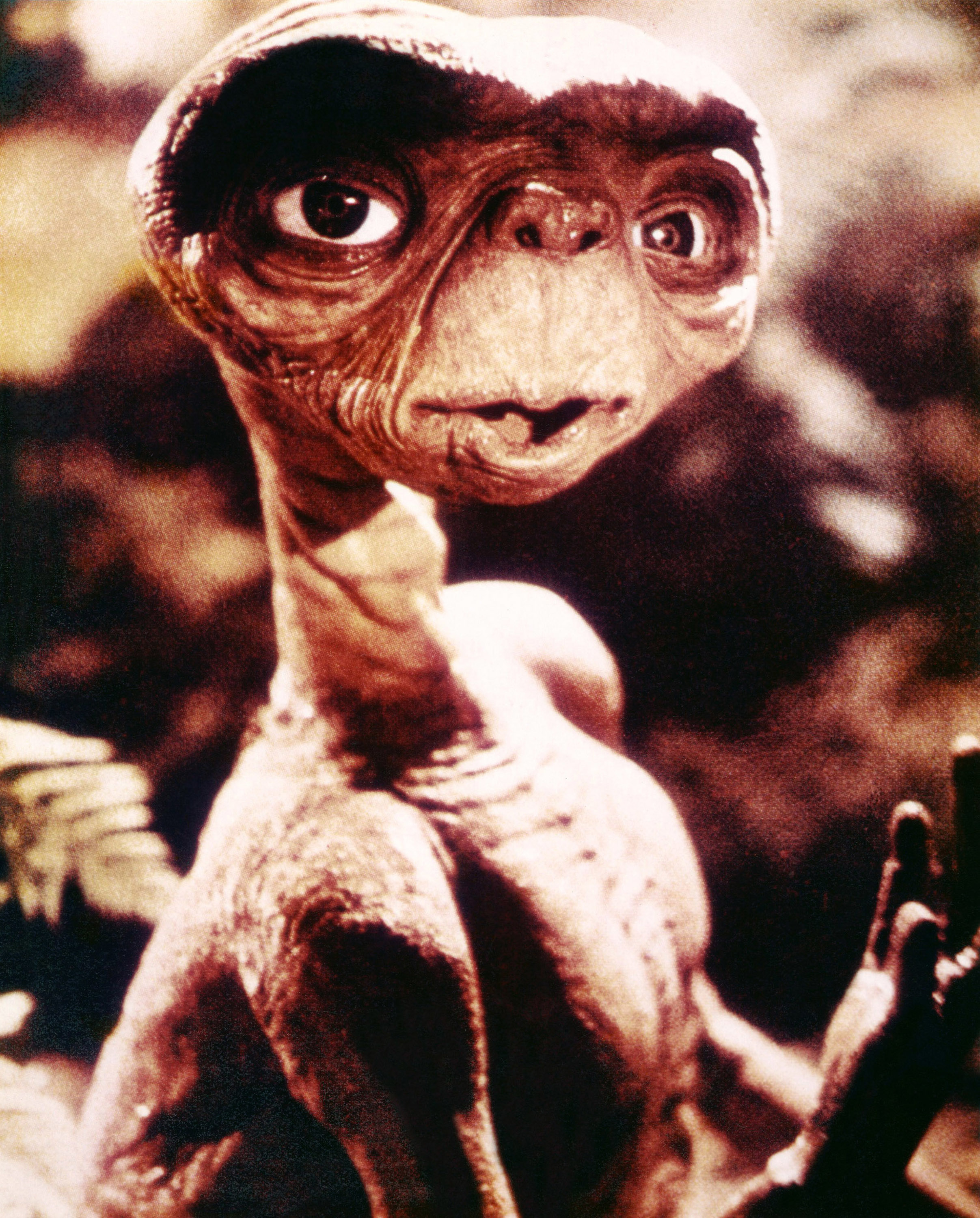 E.T. from &quot;E.T. the Extra-Terrestrial&quot; looking directly at the viewer with a curious expression