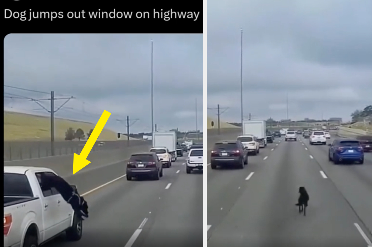 A dog jumps out of a moving truck window onto a busy highway, followed by cars slowing down to avoid it