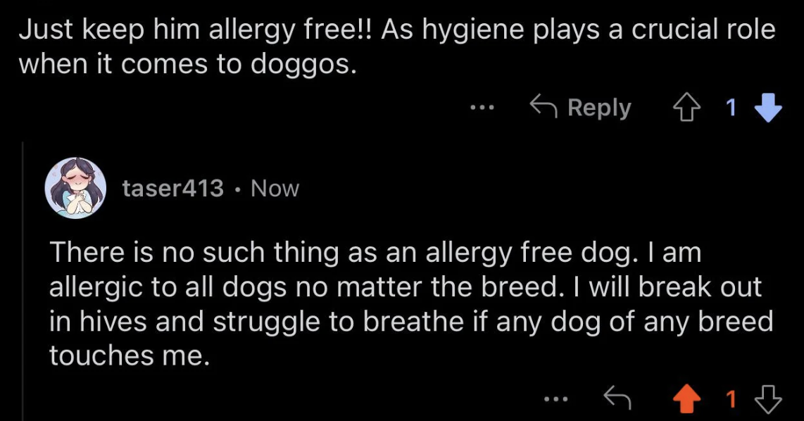 Comments about dog allergies: One suggests keeping dogs allergy-free, and another mentions there are no allergy-free dogs and shares personal experiences with dog allergies