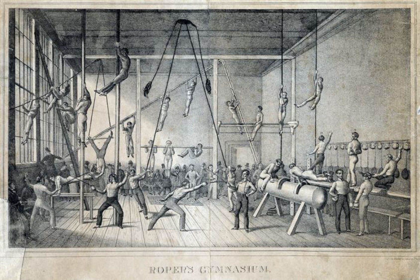 Illustration of a gym with men doing acrobatics in the air and fencing on the ground