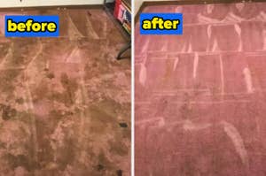 a before and after for sunny and honey carpet cleaning solution