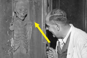 Man examining a skeleton displayed in a cabinet, with a yellow arrow pointing towards the skeleton