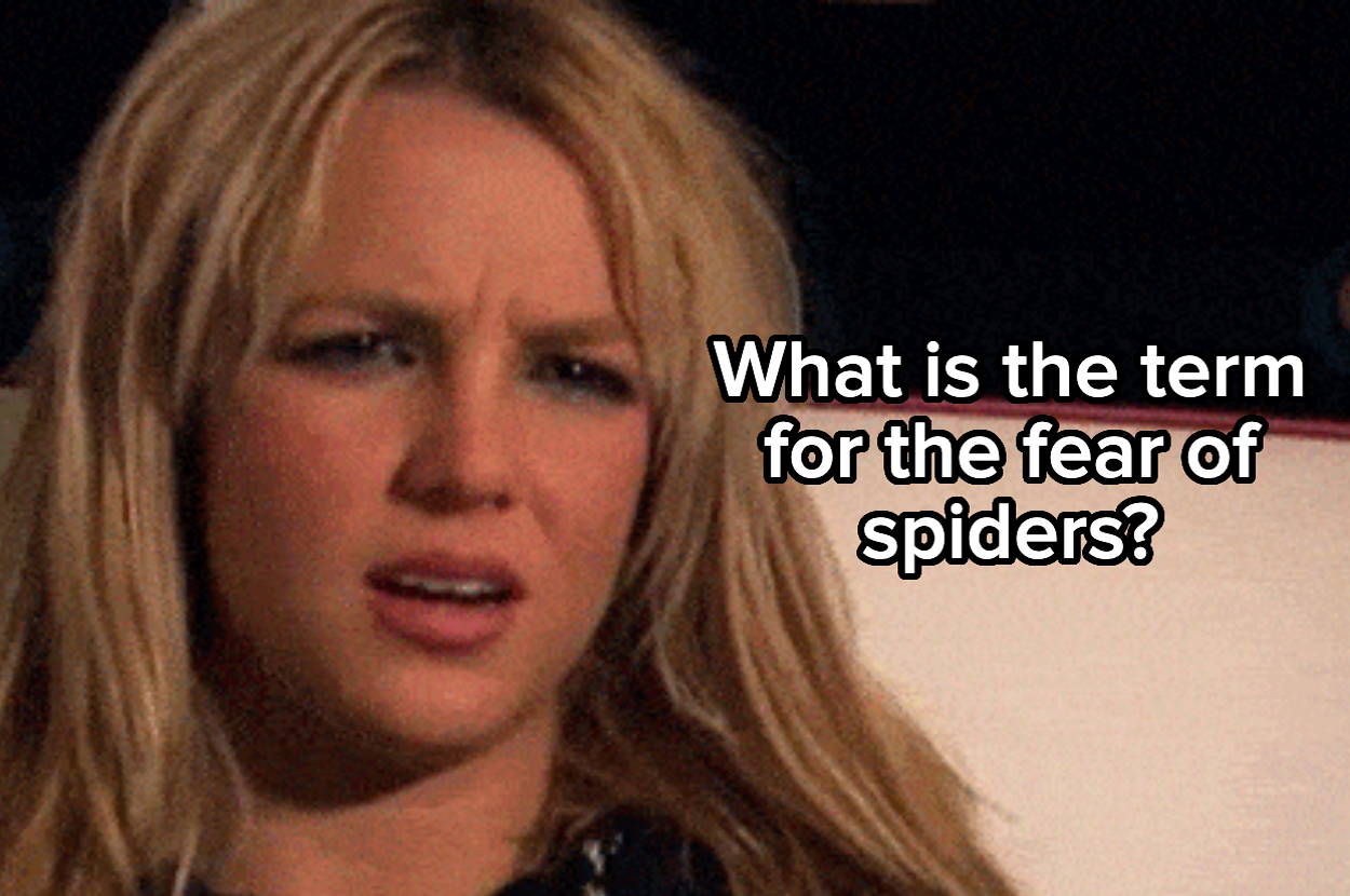 A person with long hair looking confused, with text: "What is the term for the fear of spiders?"