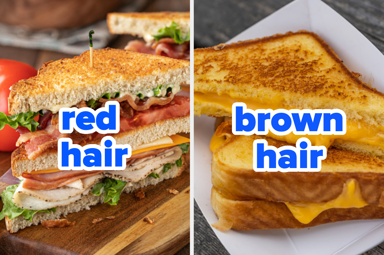 Two grilled sandwiches, one with toppings labeled "red hair," the other a plain grilled cheese labeled "brown hair."