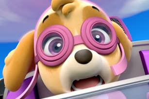 Skye, a cartoon dog character from PAW Patrol, wearing pink goggles, looking surprised while flying an aircraft