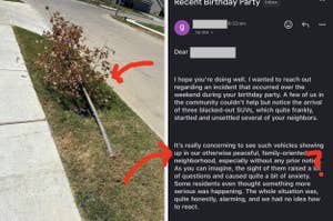 Damaged tree by sidewalk; email text summarizes concerns about SUVs and neighbors at a recent birthday party