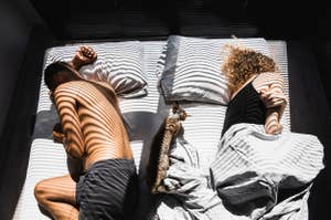 A man, a woman, and a cat sleeping on a bed with sunlight filtering through blinds casting stripes on them