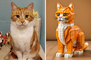 Real cat next to a detailed LEGO cat model on a table