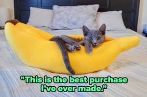 Gray kitten in a plush banana-shaped bed on a mattress. Text reads: "This is the best purchase I’ve ever made."